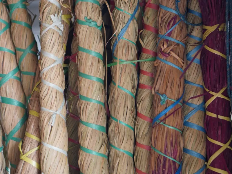 Bundles of flattened purun tied with coloured string, some dyed deep plum